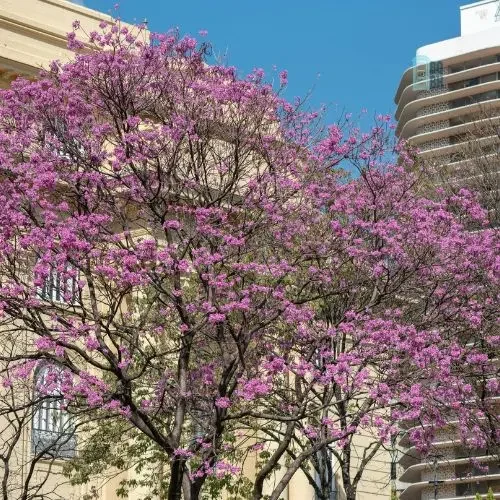 aluguel de banheiro químico em bh mg